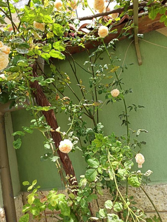 Guest House ,, Ekaterina" ネセバル エクステリア 写真